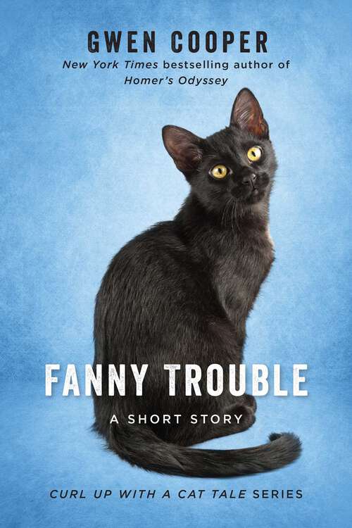 Book cover of Fanny Trouble: A Short Story