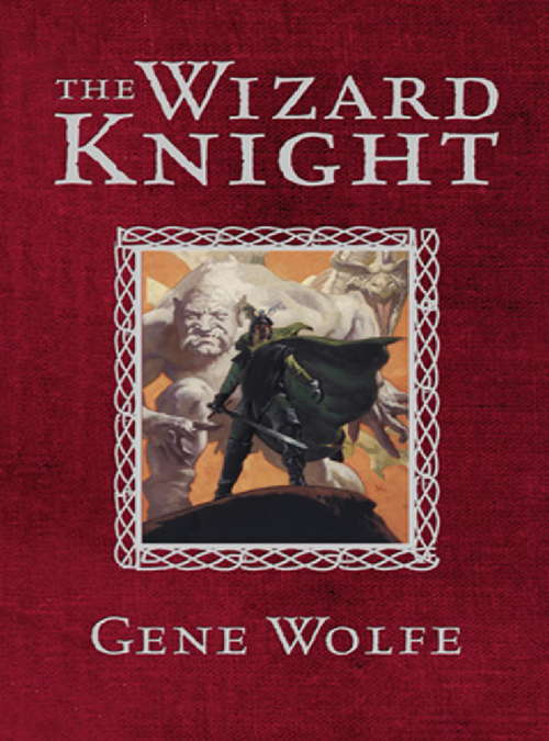 Book cover of The Wizard Knight (Wizard Knight Ser. #1)