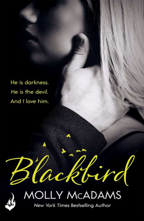 Book cover of Blackbird: A story of true love against the odds (Redemption Series)