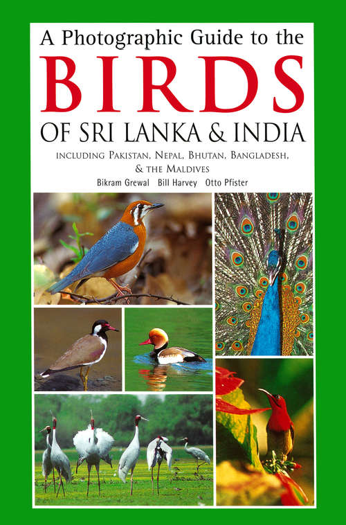 Book cover of A Photographic Guide to the Birds of Sri Lanka & India