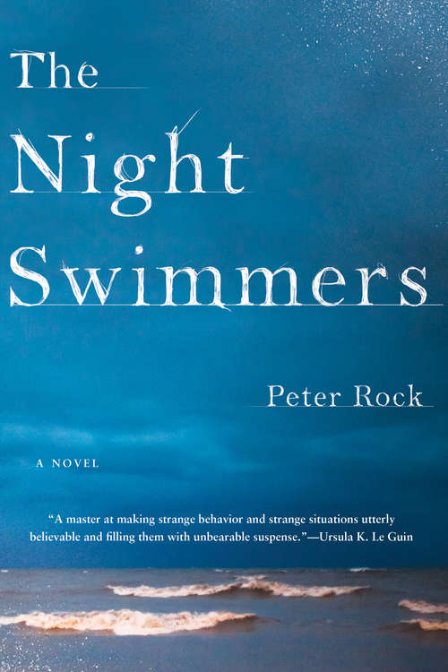 Book cover of The Night Swimmers