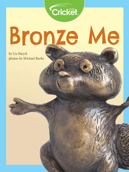 Book cover of Bronze Me