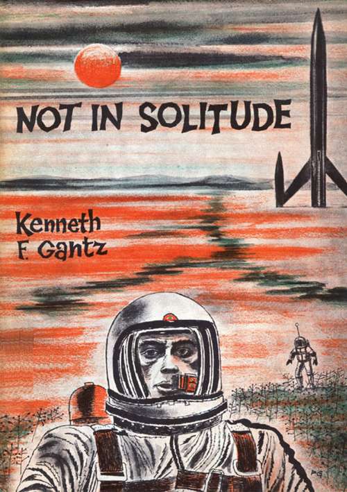 Book cover of Not in Solitude [Revised Edition]