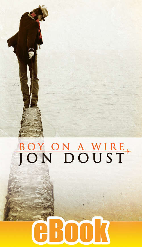 Book cover of Boy on a Wire