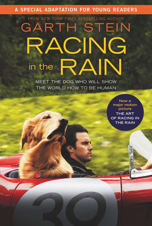 Book cover of Racing in the Rain: My Life as a Dog (Chicka Chicka Book)