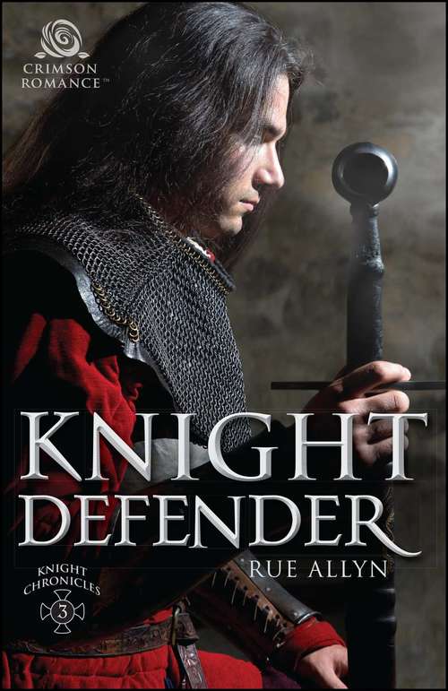 Book cover of Knight Defender