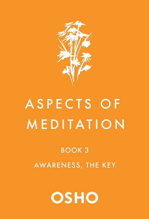 Book cover of Aspects of Meditation Book 3: Awareness, the Key (Aspects of Meditation #3)