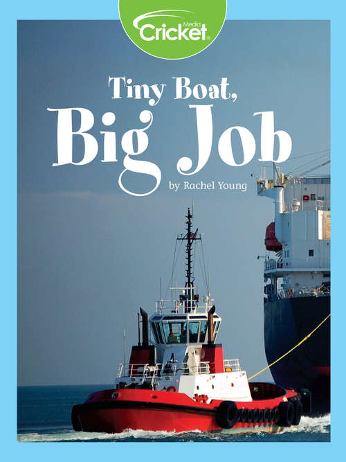 Book cover of Tiny Boat, Big Job