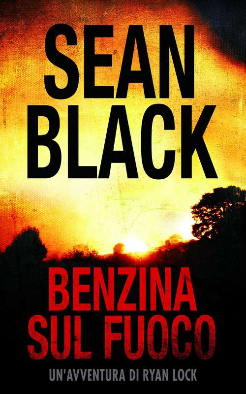 Book cover of Benzina sul fuoco: Serie di Ryan Lock vol. 6