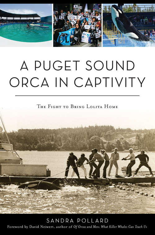 Book cover of A Puget Sound Orca in Captivity: The Fight To Bring Lolita Home