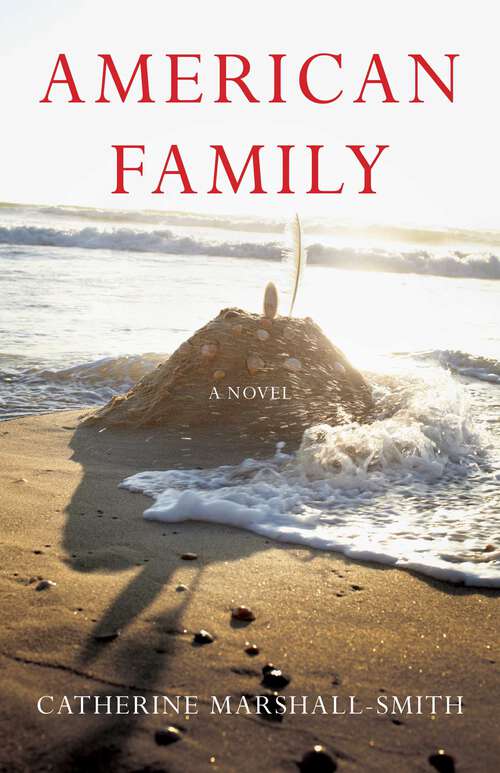 Book cover of American Family: A Novel