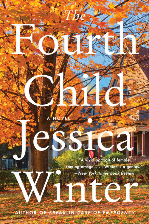 Book cover of The Fourth Child: A Novel