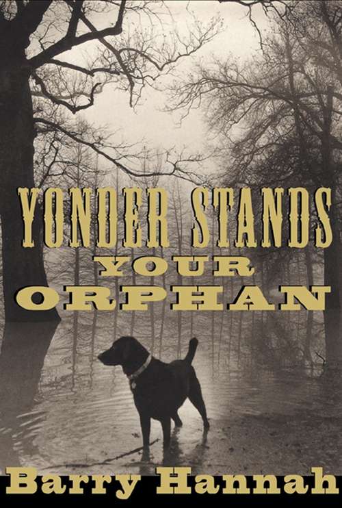 Book cover of Yonder Stands Your Orphan