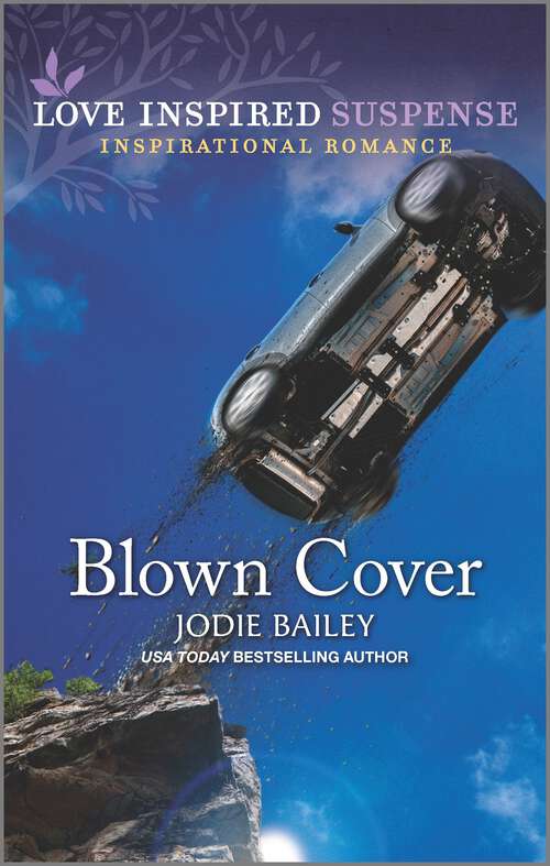 Book cover of Blown Cover (Original)