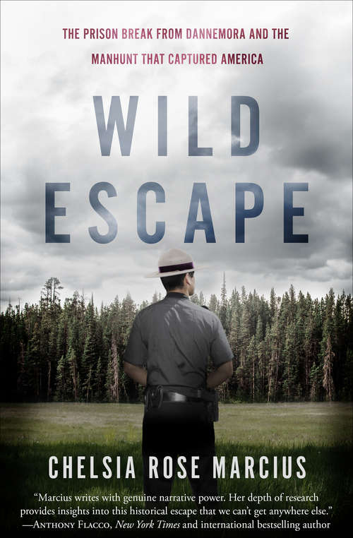 Book cover of Wild Escape: The Prison Break from Dannemora and the Manhunt that Captured America