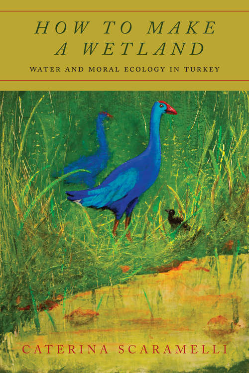 Book cover of How to Make a Wetland: Water and Moral Ecology in Turkey