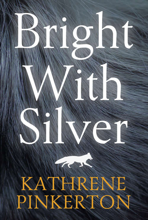 Book cover of Bright with Silver