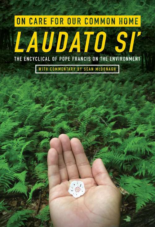 Book cover of On Care for Our Common Home Laudato Si': The Encyclical of Pope Francis on the Environment (Ecology And Justice)