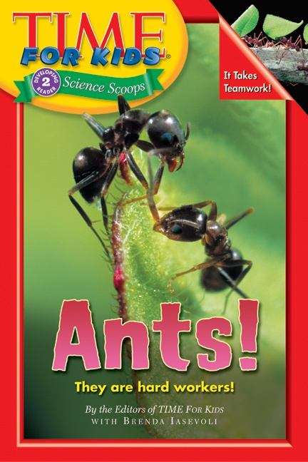 Book cover of Ants! (First Edition) (Time For Kids)