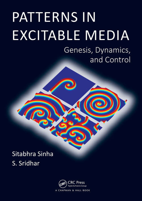 Book cover of Patterns in Excitable Media: Genesis, Dynamics, and Control