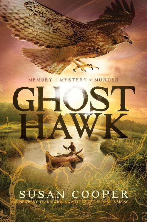 Book cover of Ghost Hawk