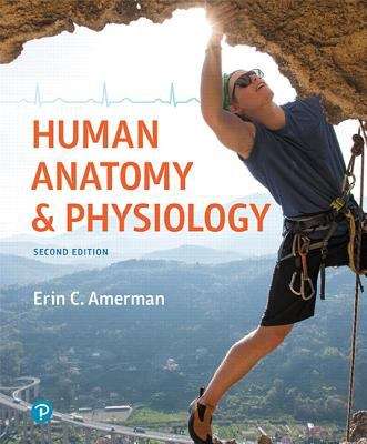 Book cover of Human Anatomy And Physiology (Second Edition)