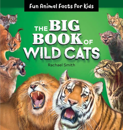 Book cover of The Big Book of Wild Cats: Fun Animal Facts for Kids