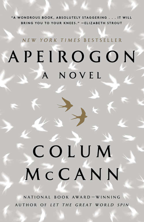 Book cover of Apeirogon: A Novel