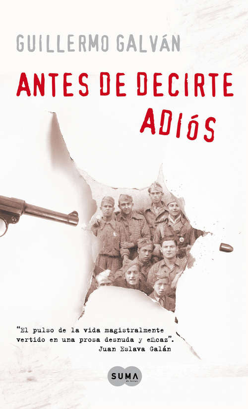 Book cover of Antes de decirte adiós