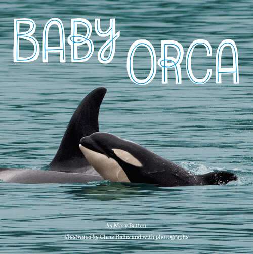 Book cover of Baby Orca