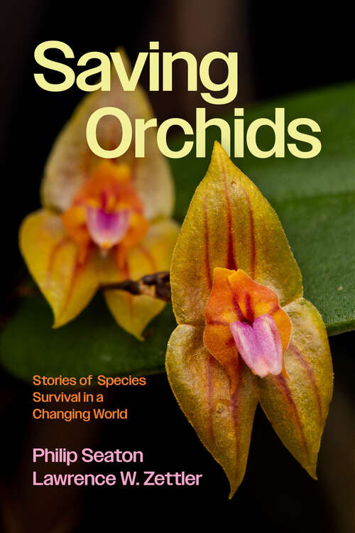 Book cover of Saving Orchids: Stories of Species Survival in a Changing World