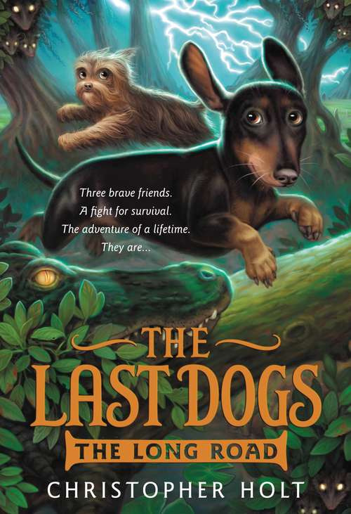 Book cover of The Last Dogs: The Long Road (The Last Dogs #3)