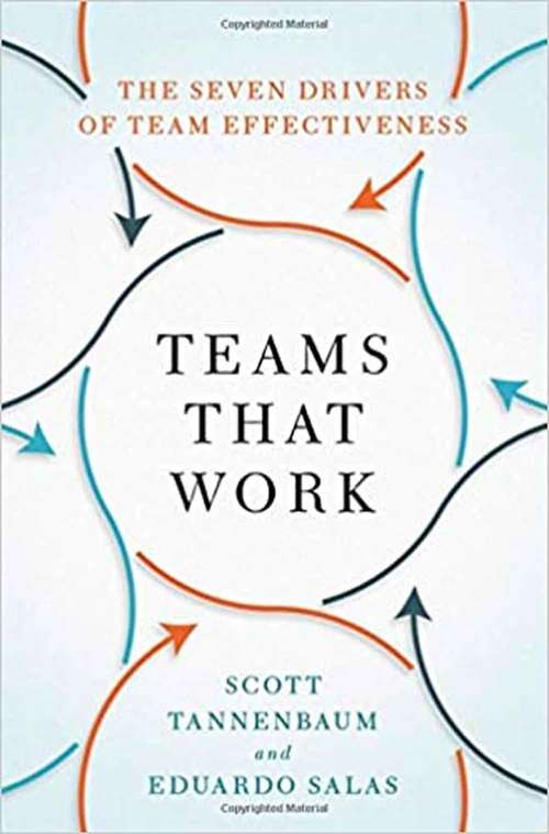 Book cover of Teams That Work: The Seven Drivers of Team Effectiveness
