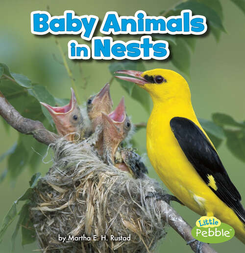 Book cover of Baby Animals in Nests (Baby Animals And Their Homes Ser.)