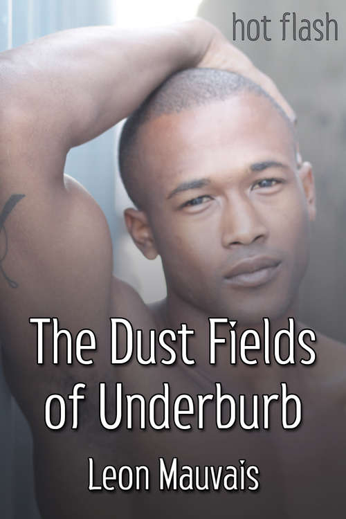 Book cover of The Dust Fields of Underburb