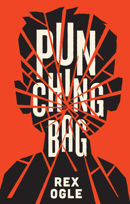 Book cover of Punching Bag