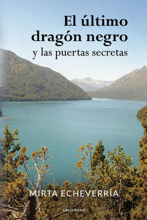 Book cover of El último dragón negro y las puertas secretas