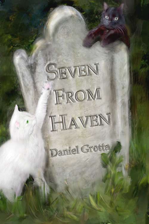 Book cover of Seven from Haven