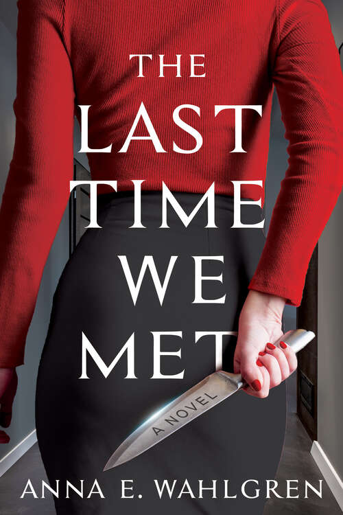 Book cover of The Last Time We Met: A Novel