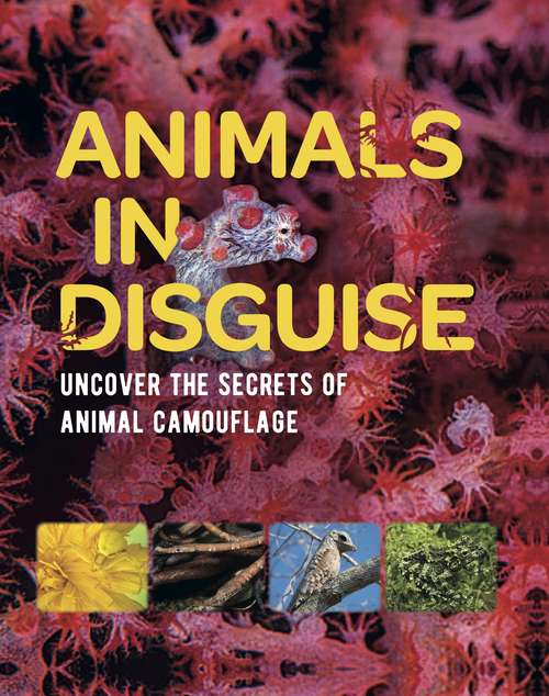 Book cover of Animals in Disguise