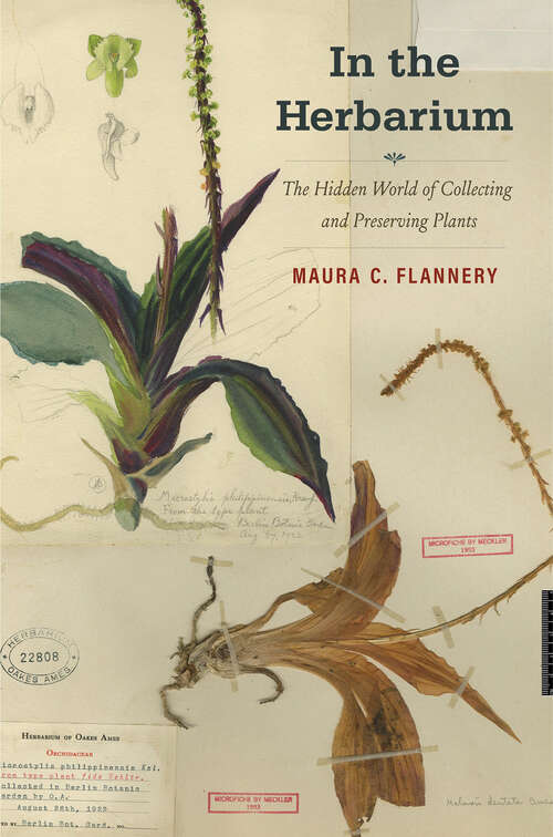 Book cover of In the Herbarium: The Hidden World of Collecting and Preserving Plants
