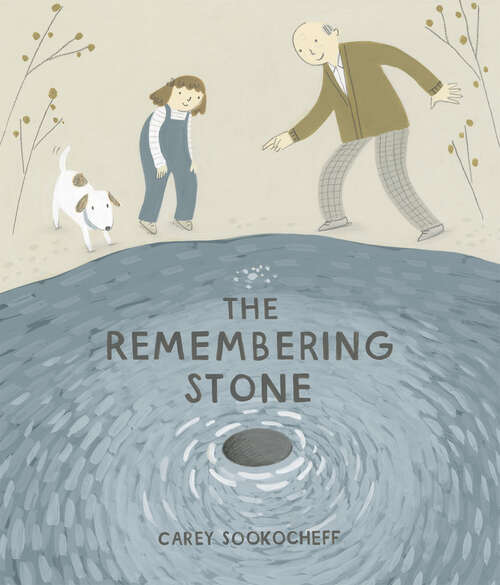 Book cover of The Remembering Stone