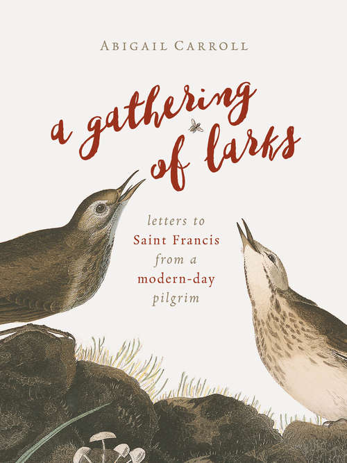 Book cover of A Gathering of Larks: Letters to Saint Francis from a Modern-Day Pilgrim