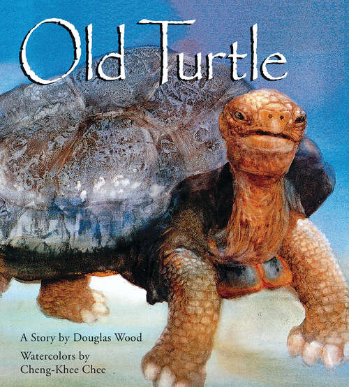 Book cover of Old Turtle