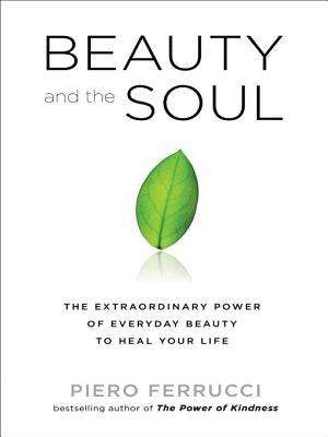 Book cover of Beauty and the Soul