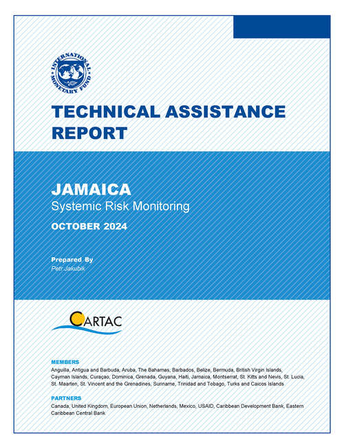 Book cover of Jamaica: Technical Assistance Report-Systemic Risk Monitoring