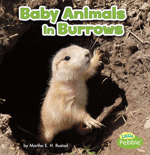 Book cover of Baby Animals in Burrows (Baby Animals And Their Homes Ser.)