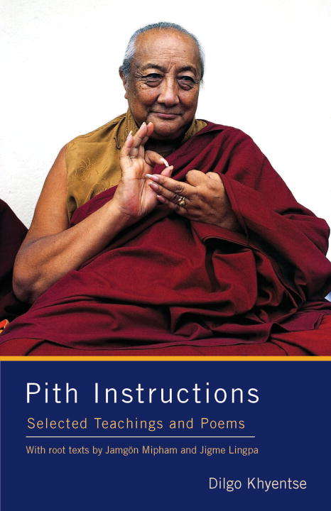 Book cover of Pith Instructions: Selected Teachings and Poems