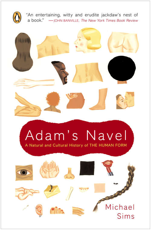 Book cover of Adam's Navel