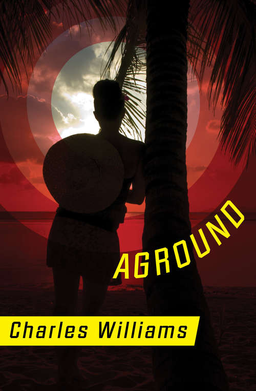 Book cover of Aground (The\hardy Boys Casefiles Ser.)